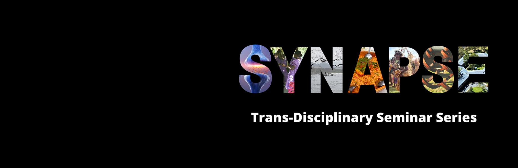 SYNAPSE Trans-disciplinary seminar series
