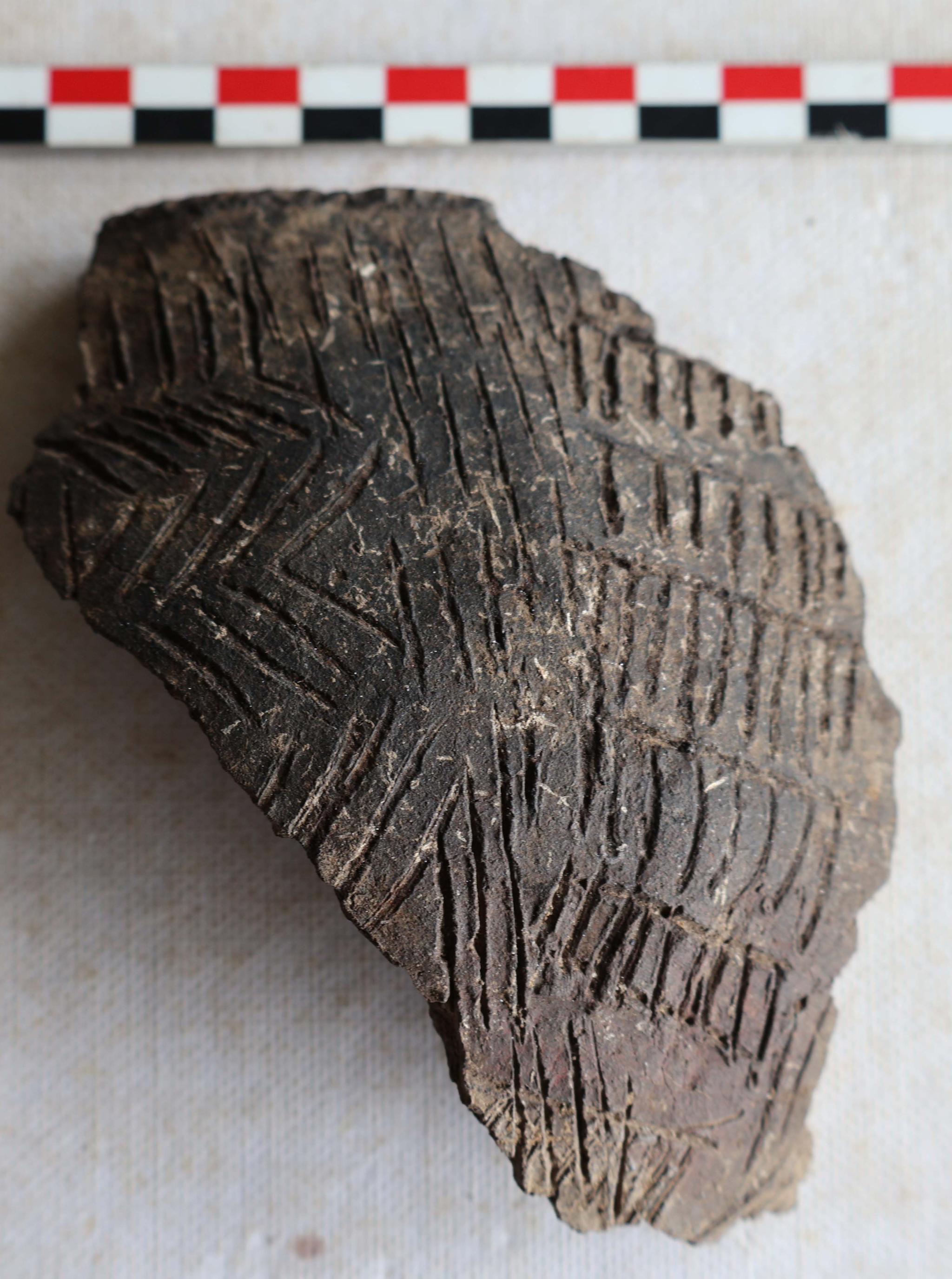 Large Early Erueti-style sherd c. 2800 BP