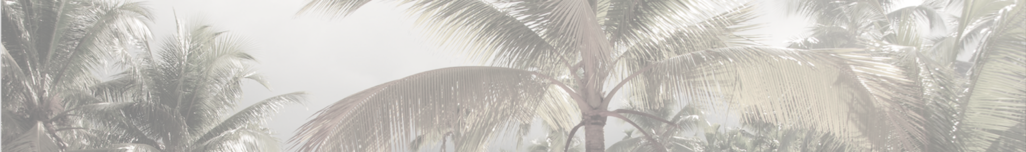 TP Banner Upper