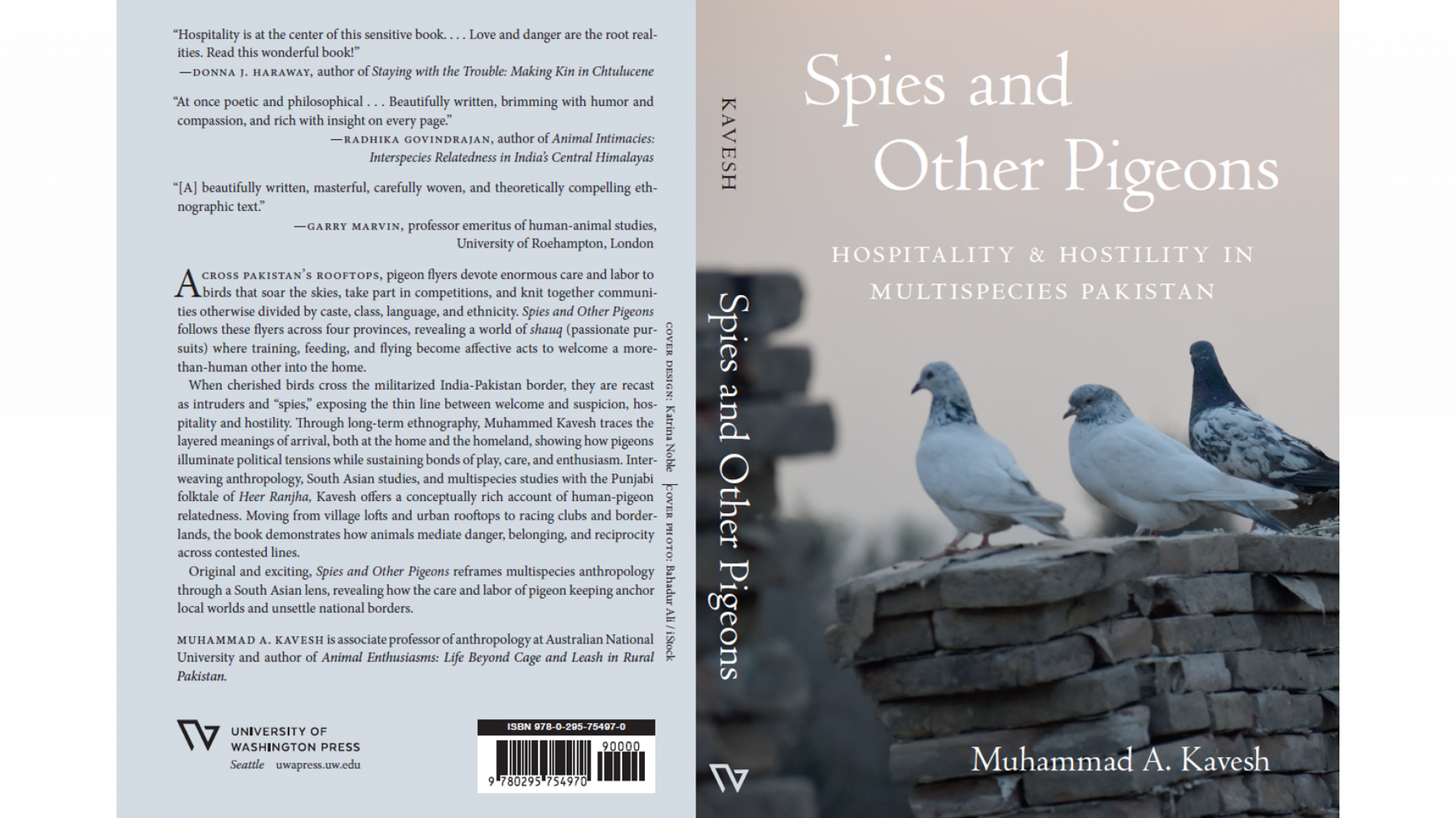 Kavesh book launch cover