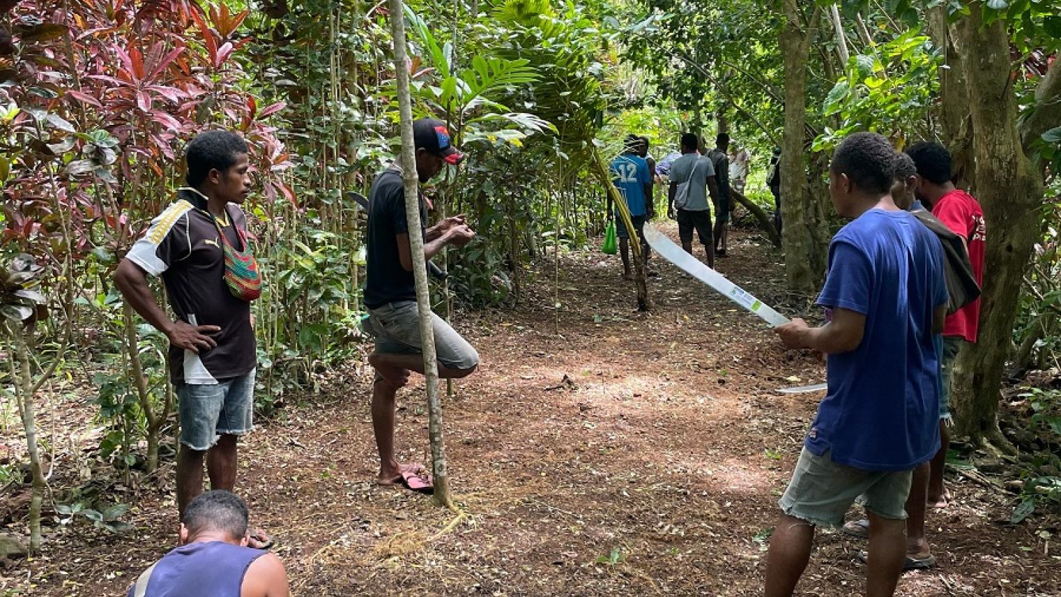 PNG diaries 26