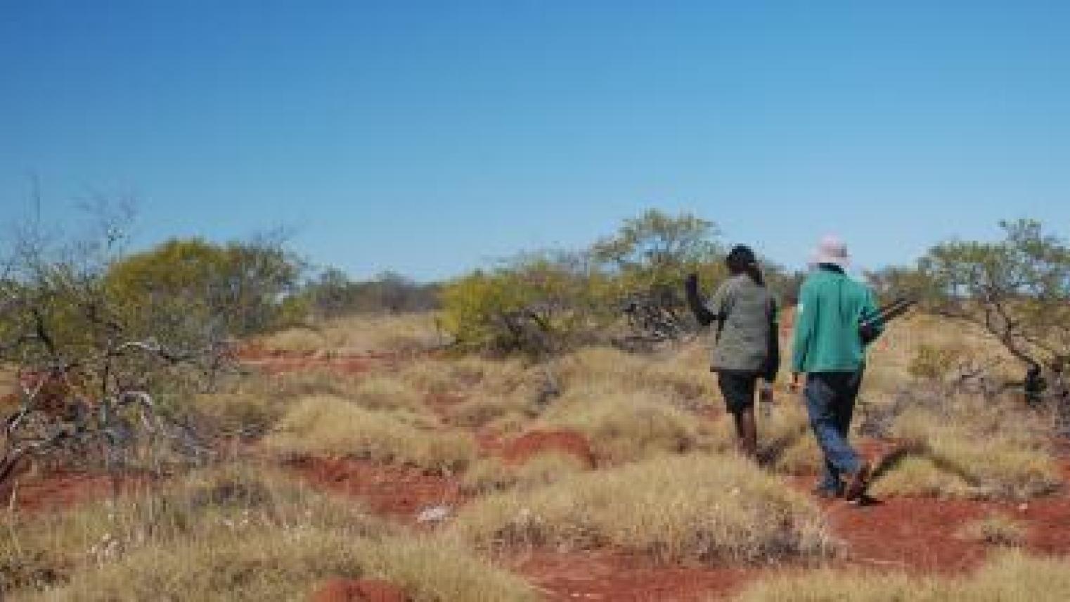 Searching for a sixth sense with Gurindji people - Meakins