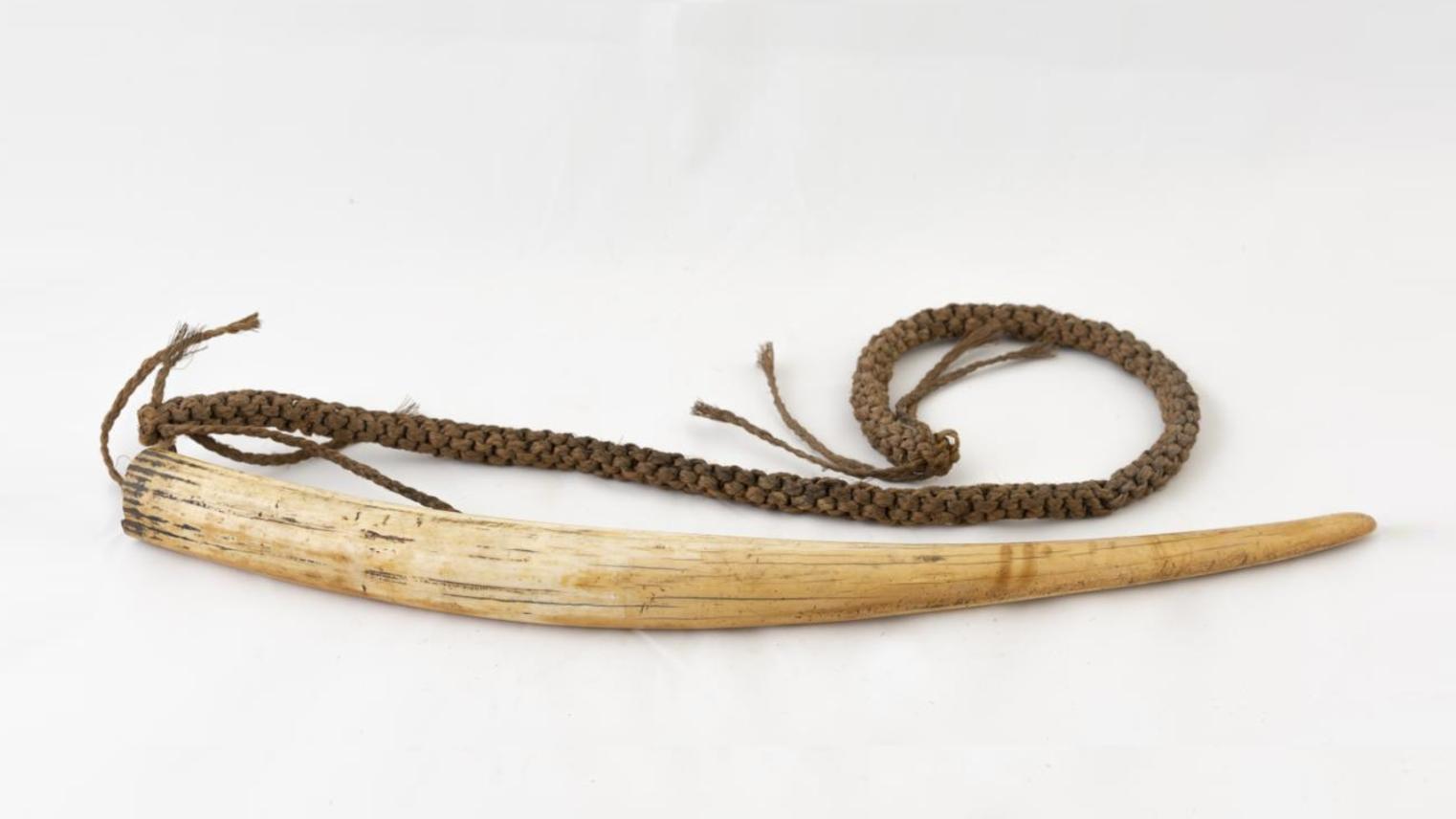 Walrus tusk strung plaited coconut fibre  Fiji, circa 1890 Acc. 0547