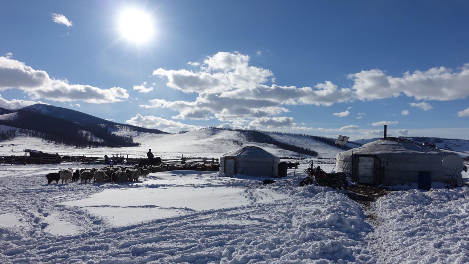 2024 ANU Mongolia Update Symposium