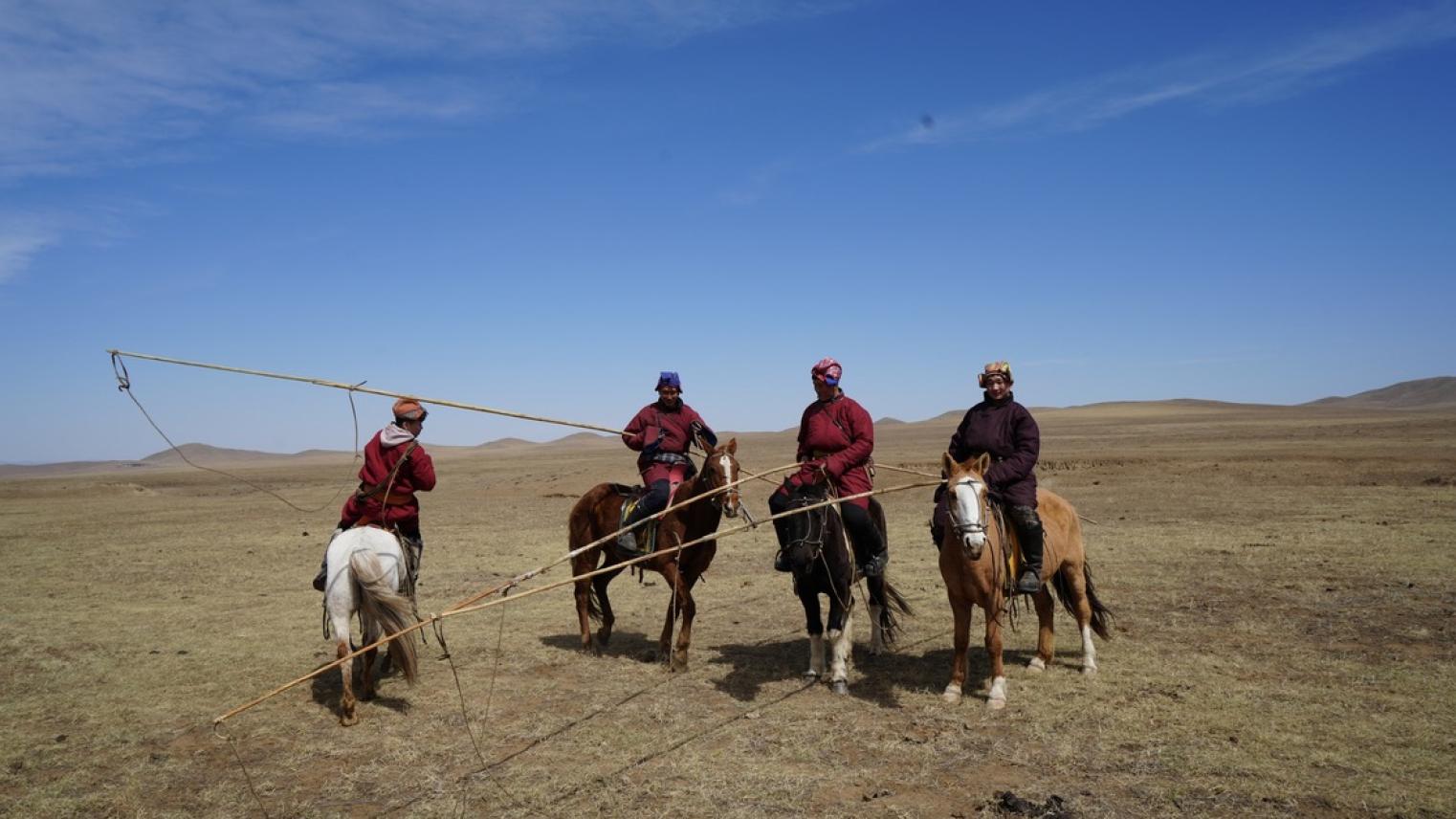 Horse riders in grassland