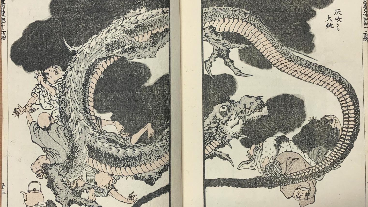 Haifuki kara daija: a snake emerges from the ashes (from Volume 12 of the Sketchbooks of Hokusai)
